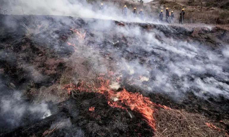 Голям пожар гори на гръцкия остров Родос.  Стихията не може