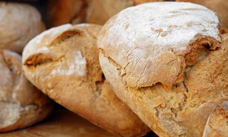 Производители: Хлябът и рибата поскъпват заради цената на тока - Tribune.bg