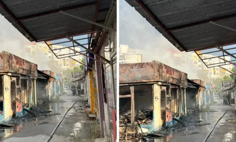 Пожарът на Пътеките в Младост – запален от 66-годишен криминално проявен - Tribune.bg