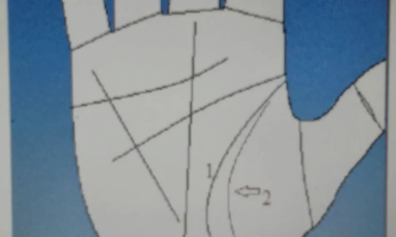 Линията на Ангела-пазител на дланта - Tribune.bg