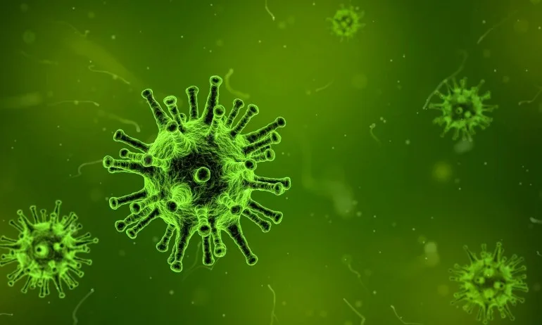 Румъния: Не е потвърден коронавирус при 24-годишния мъж - Tribune.bg