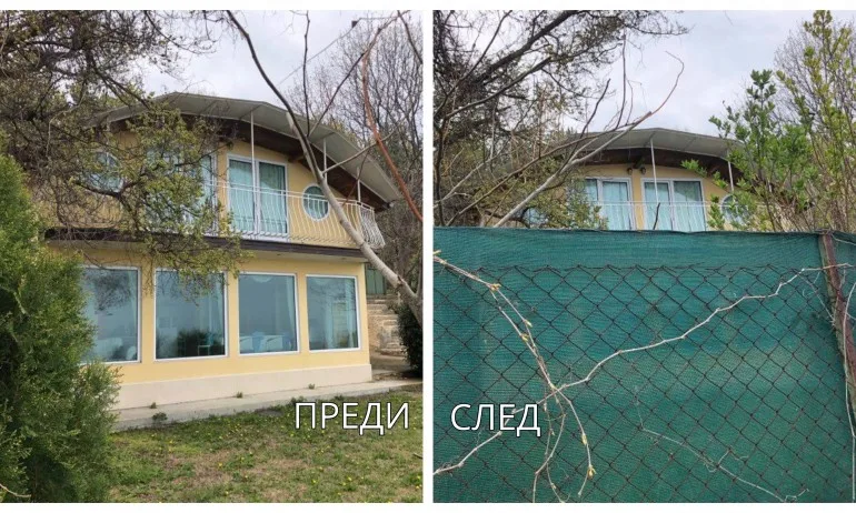 Лозан Панов скри морската си вила от хорски очи, опъна платно - Tribune.bg