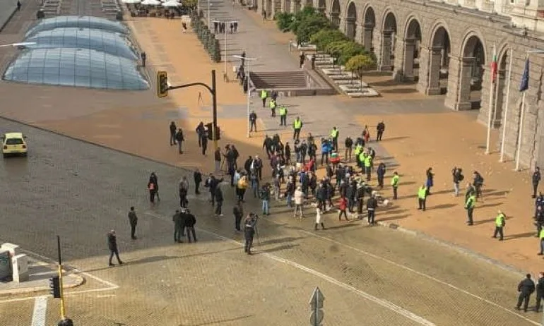 Стъки: Отровените доказаха, че не здравето е причина за спирането на протеста, а липсата на протестиращи - Tribune.bg