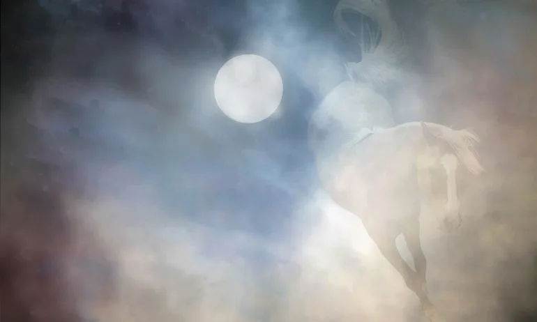 Флората и фауната в сънищата - Tribune.bg