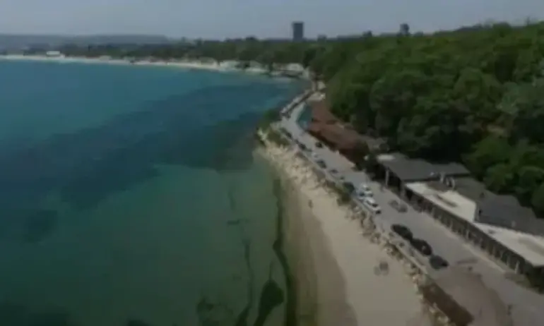 БАЗ и СЗБ подкрепиха връщането на автомобилното движение по крайбрежната алея във Варна - Tribune.bg