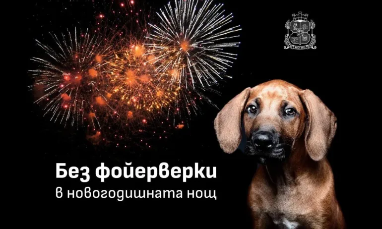 София посреща новата година със светлинно шоу вместо заря - Tribune.bg