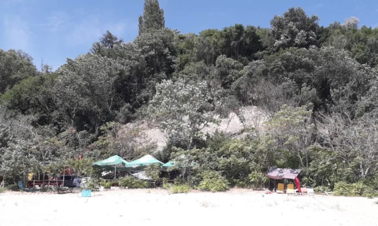 Свлачище затрупа мъж и жена на плаж край Албена, извадени са живи (ОБНОВЕНА) - Tribune.bg