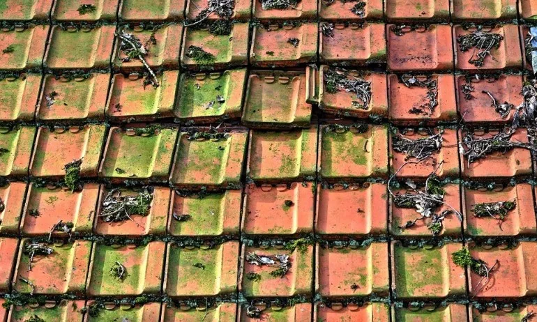 След измама - мъж завърза мними майстори и извика полиция - Tribune.bg