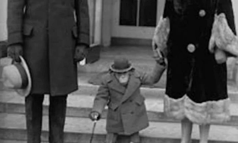 Снимка на шимпанзе и туит за кралското бебе костваха работата на журналист от BBC - Tribune.bg