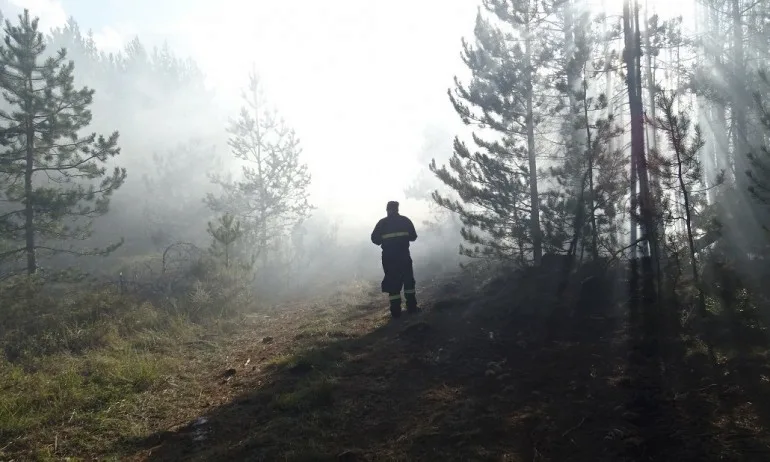 Пожарът над Разлог пламна отново - Tribune.bg
