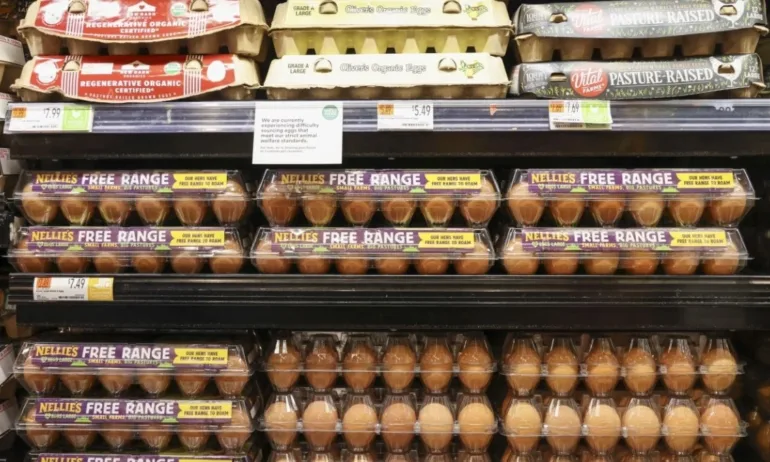 Цените на храните в САЩ растат, а яйцата са абсолютен рекордьор - Tribune.bg