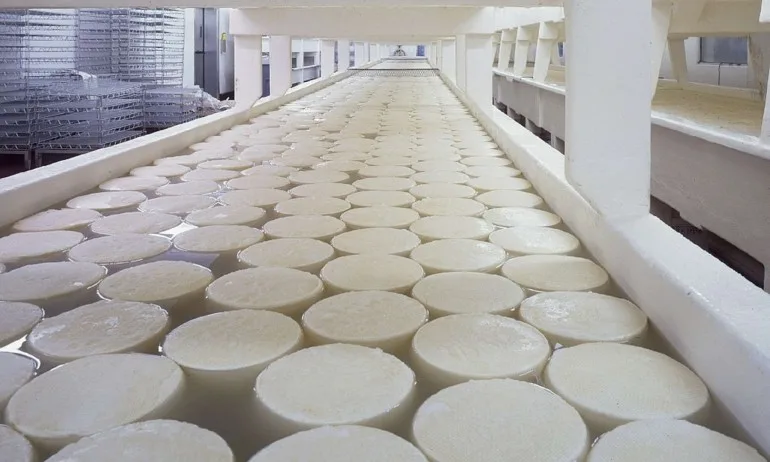 Глобиха мандра за многократното замърсяване р. Черна - Tribune.bg