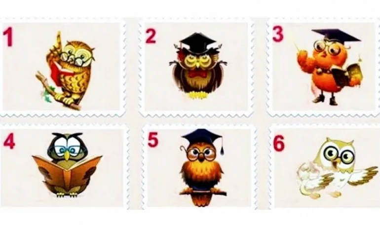 Изберете бухал и вижте какво пречи на щастието ви - Tribune.bg