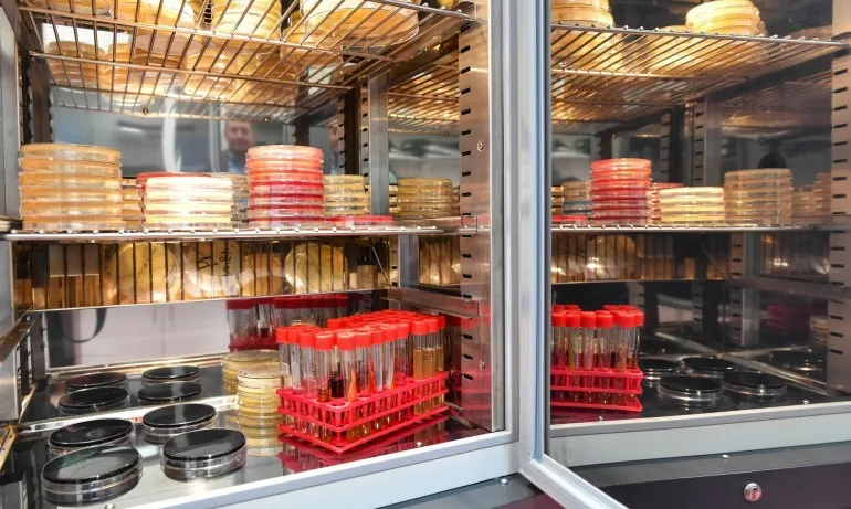 4162 са новите случаи на коронавирус - Tribune.bg