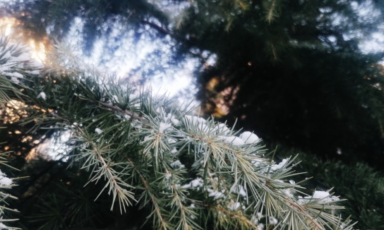 Дъжд и сняг над страната, 3 области с жълт код - Tribune.bg