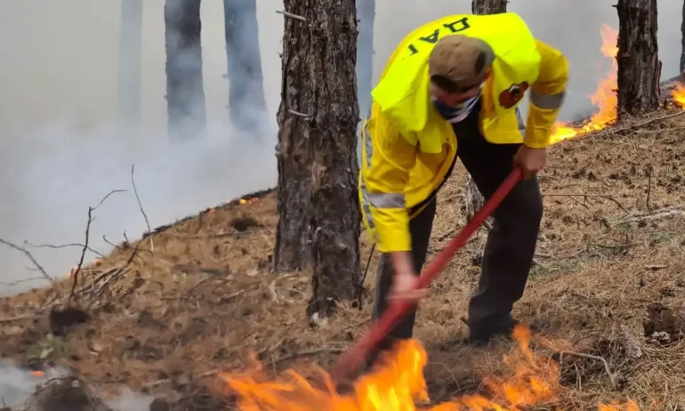 Бедствено положение в три общини в Хасковско заради пожари - Tribune.bg