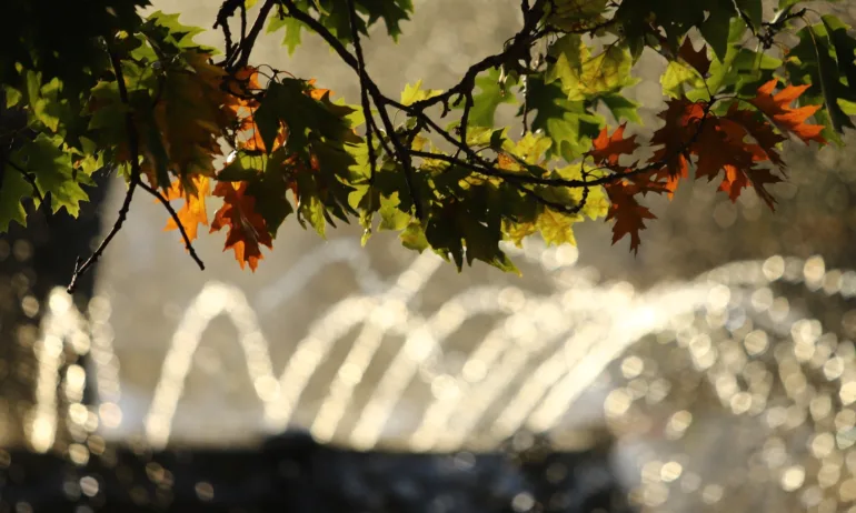 Слънчево начало на седмицата - температурите до 22 градуса, в София - 19° - Tribune.bg