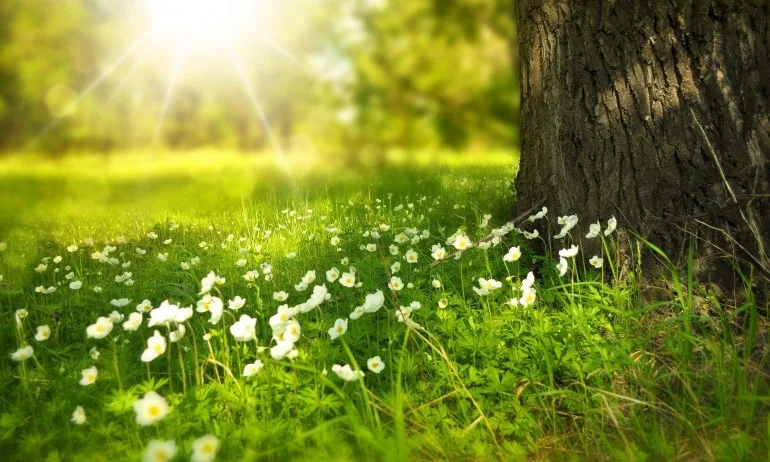 Хубаво е като ставате сутрин да имате светла мисъл - Tribune.bg