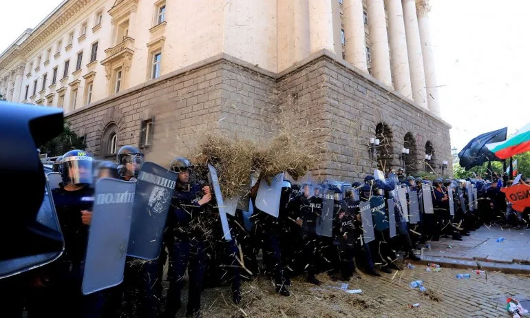 Клада от слама за полицаите на протеста (ГАЛЕРИЯ) - Tribune.bg