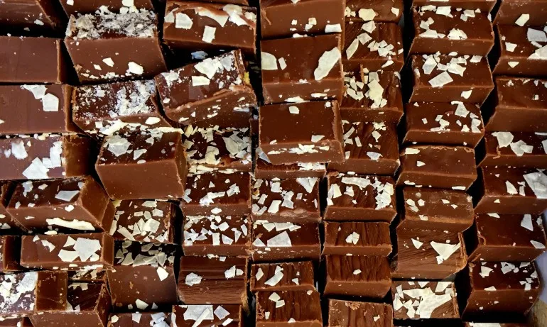 Търсят 60 дегустатори на шоколад - Tribune.bg