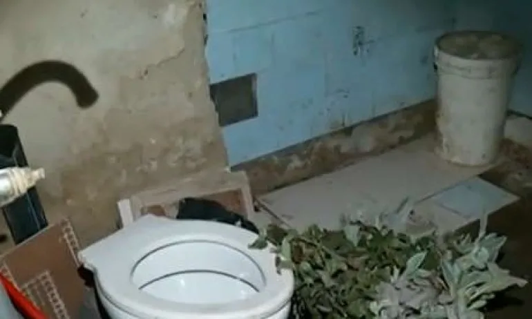 Семейство със 7 деца живее вече три месеца без ток - Tribune.bg