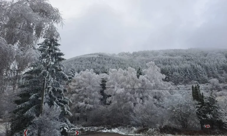 Сигнал за три убийства в хижа в района на Петрохан - Tribune.bg