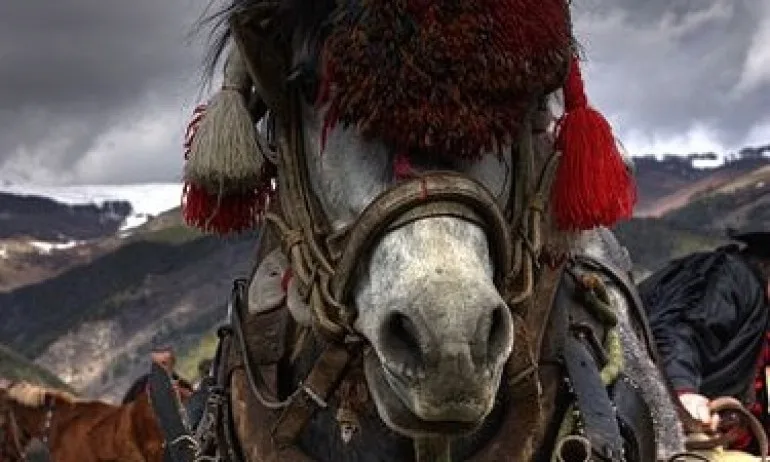 Св. Теодор облича девет кожуха, яхва коня и отива при Бога да го моли да изпрати лято… - Tribune.bg