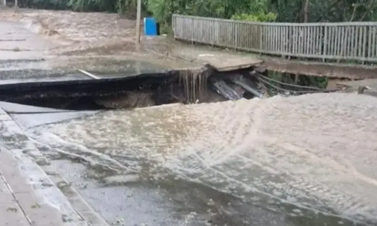 Закъсняло: Проверяват сечта в Царево пет години назад - Tribune.bg