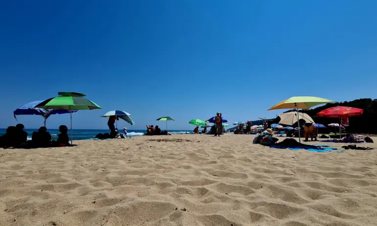Няма намаляване на броя туристи от Германия, Полша и Турция, отчете министърът на туризма - Tribune.bg