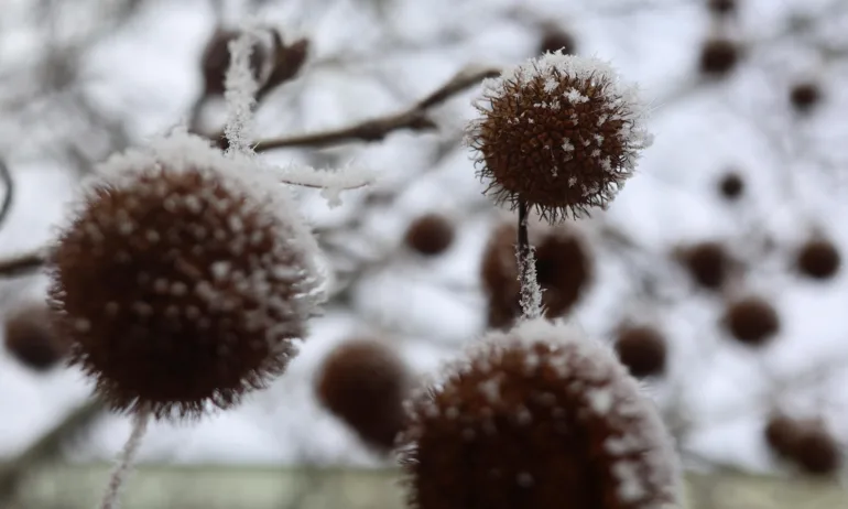 Мъглива неделя и дъждовно начало на новата седмица - Tribune.bg