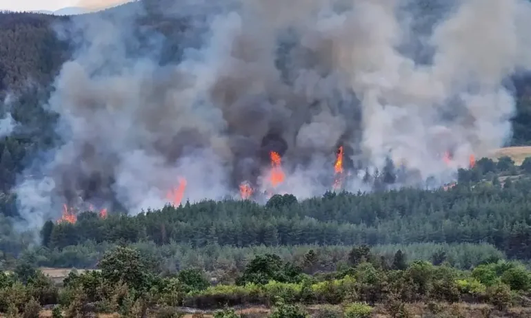Заради пожари: Мъж загина от задимяване във вилна зона Росенец; частично бедствено положение в Елшица - Tribune.bg