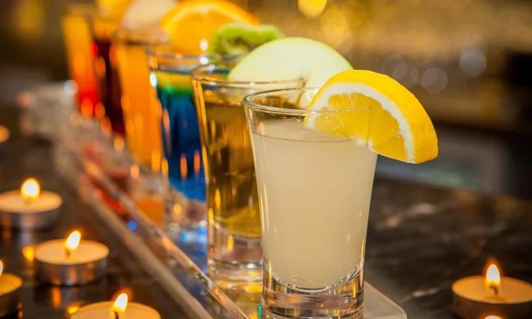 Пияни холандци откраднаха автобус, за да танцуват голи в него - Tribune.bg