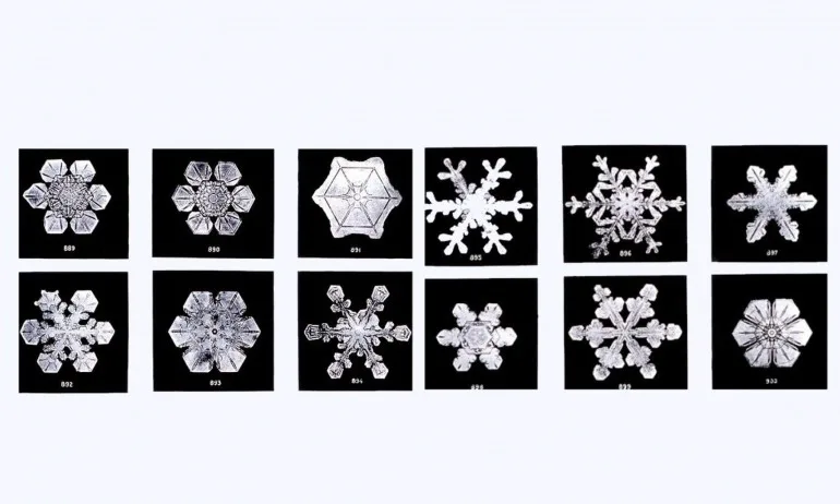 Ефектът на музиката върху водата - Tribune.bg