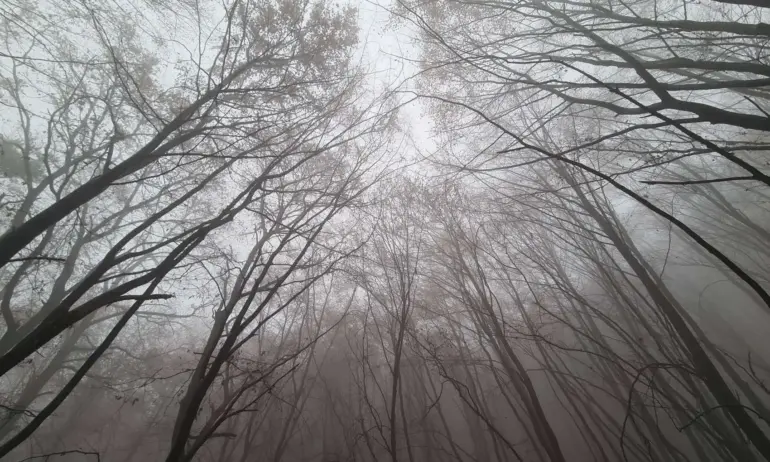 Облаци и дъжд в понеделник - Tribune.bg