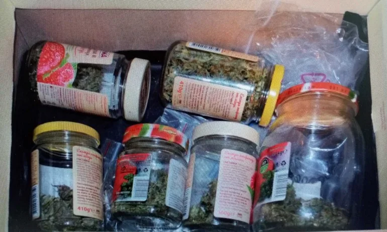 Мини оранжерия за канабис е открита в Радомир - Tribune.bg