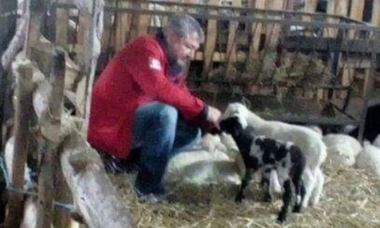 24 часа: Мъжът на пиарката на БСП гледа овце и кози - Tribune.bg