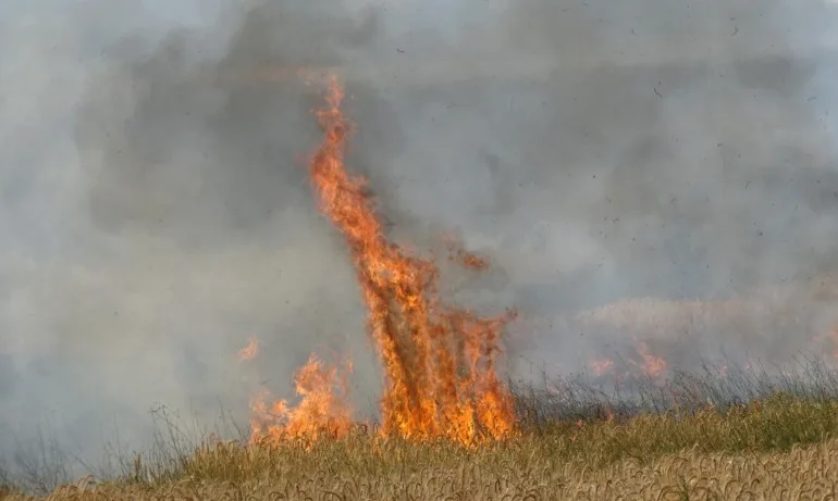 Пожар край хасковското село Брягово е обхванал 2 хил. декара гори - Tribune.bg