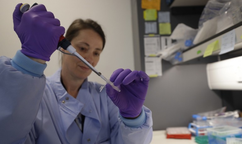 1719 са новите случаи на коронавирус, 77 души са починали за денонощието - Tribune.bg