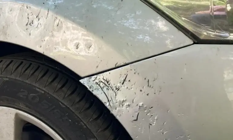 Столичанка откри колата си със следи от нокти, лапи и зъби - Tribune.bg