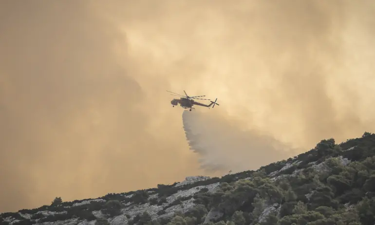 Заради горски пожари: 18 овъглени тела в Северна Гърция, а в Александруполис тече евакуация - Tribune.bg