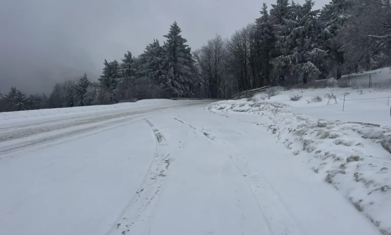 Обилен снеговалеж и намалена видимост на прохода Шипка - Tribune.bg