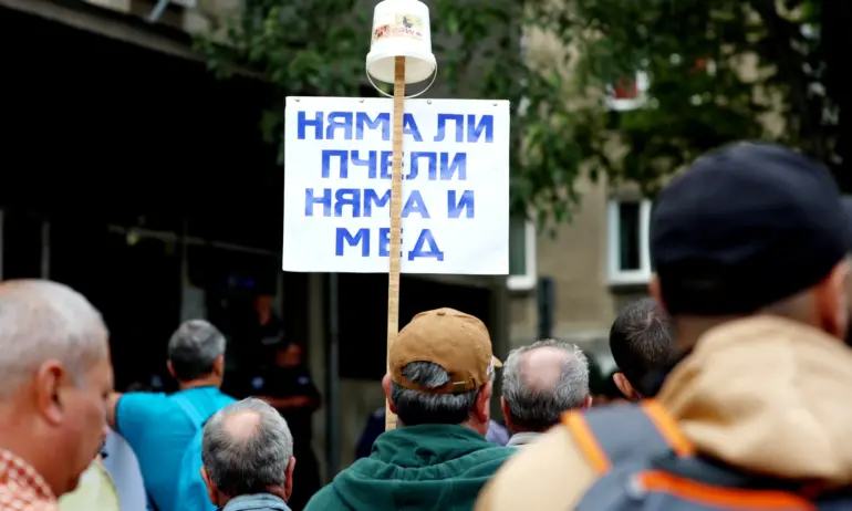 Пчеларите излизат на протест следващата седмица - Tribune.bg