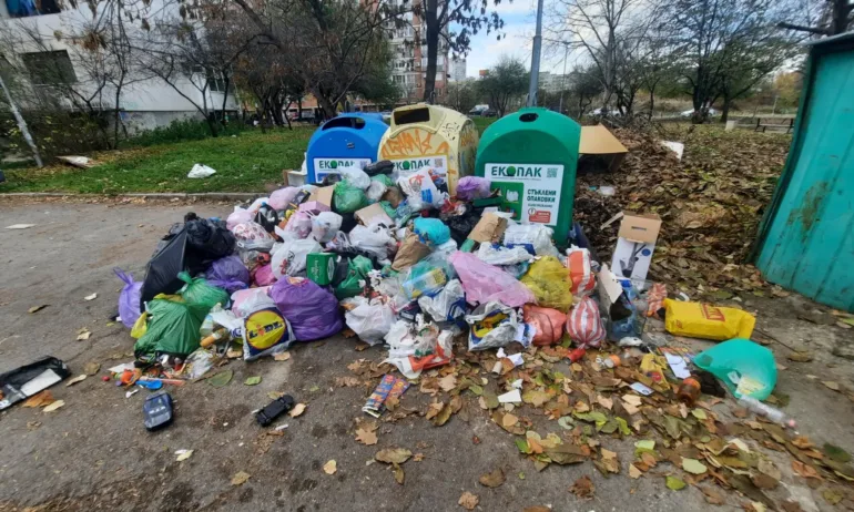 Блокове в Младост останаха без кофи за смесен битов отпадък - Tribune.bg