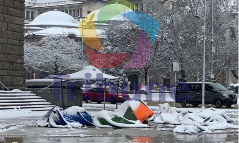 Катунът на жълтите павета е потoпен - Tribune.bg