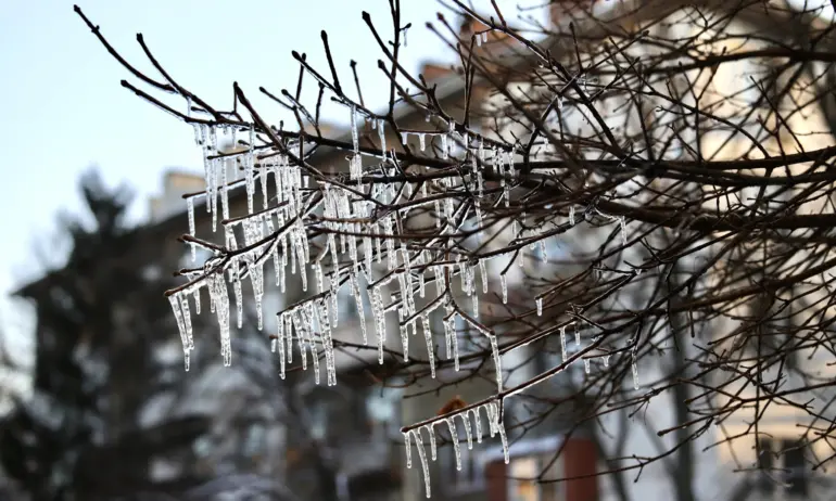 Слънчево и малко по-топло - Tribune.bg
