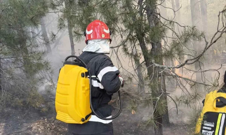 Частично бедствено положение на територията на община Ивайловград заради мащабен пожар - Tribune.bg