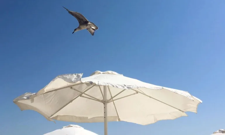 Майки от Системата ни убива окупираха шезлонги на плажа на инвалиди, ругаят ги - Tribune.bg