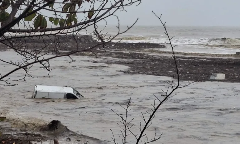 Собственици в Елените: Ако не започне спешно почистване, епидемия и инфекции заплашват курорта - Tribune.bg