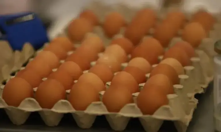 Практиката продължава: Яйца и пилешко от трети страни се преетикетират и се продават като български - Tribune.bg