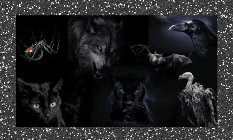 Тест: Коя е тъмната страна на твоята личност? - Tribune.bg